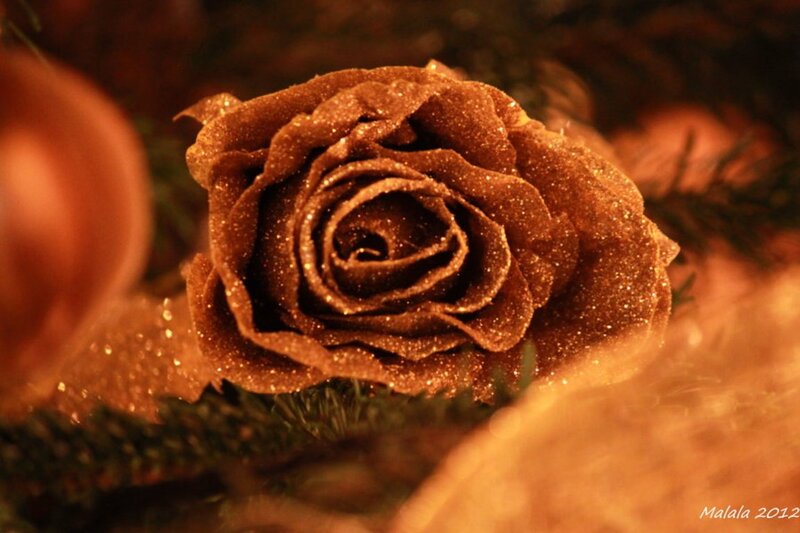 Glittery Brown Rose