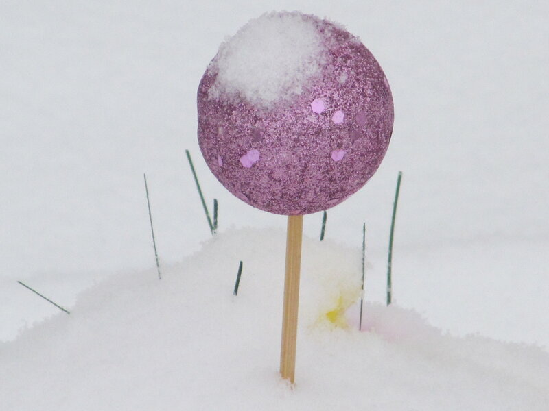 Glittery Lollipop in Snow