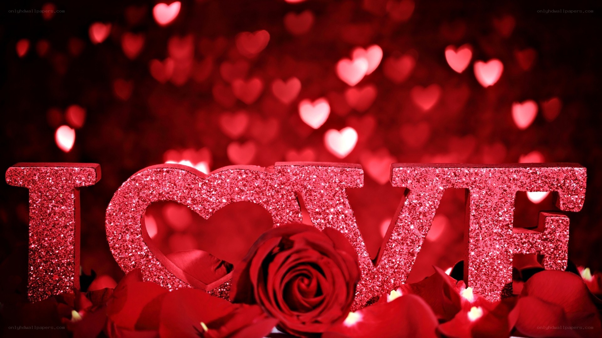 glittery love with rose
