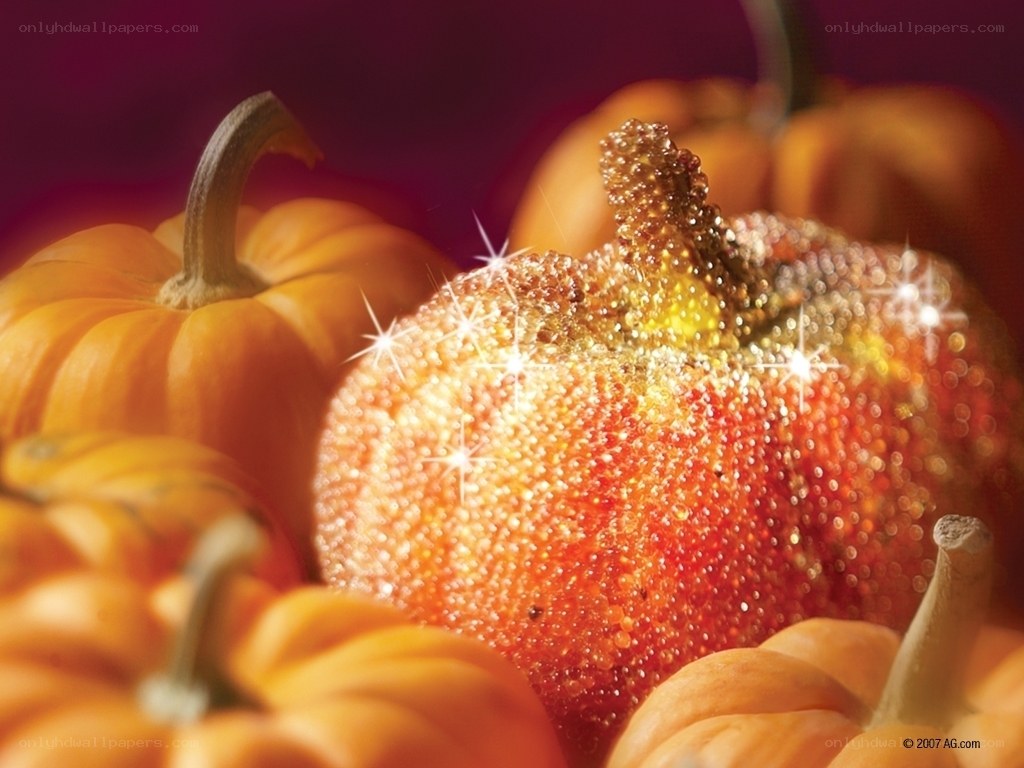 glittery pumpkins in autumn