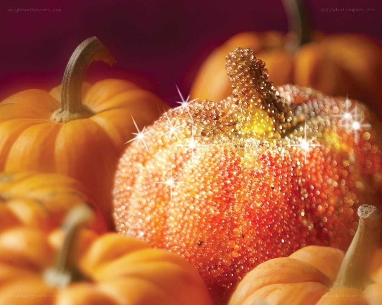 glittery pumpkins in autumn