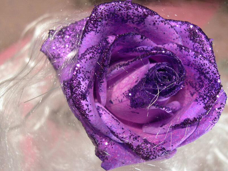 glittery purple rose close-up