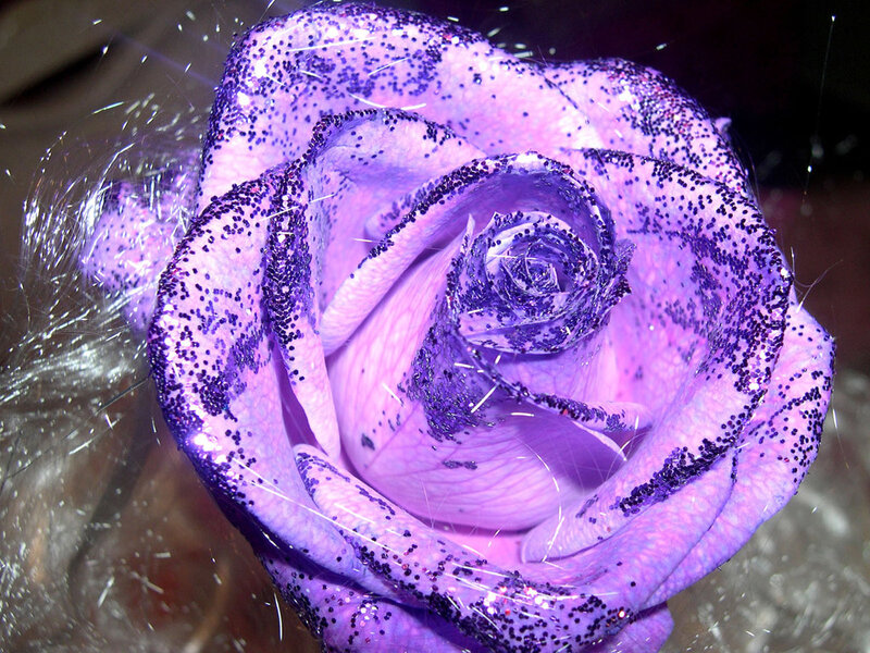 glittery purple rose