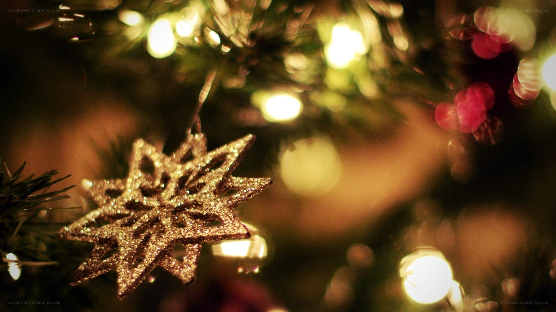 glittery star ornament on tree