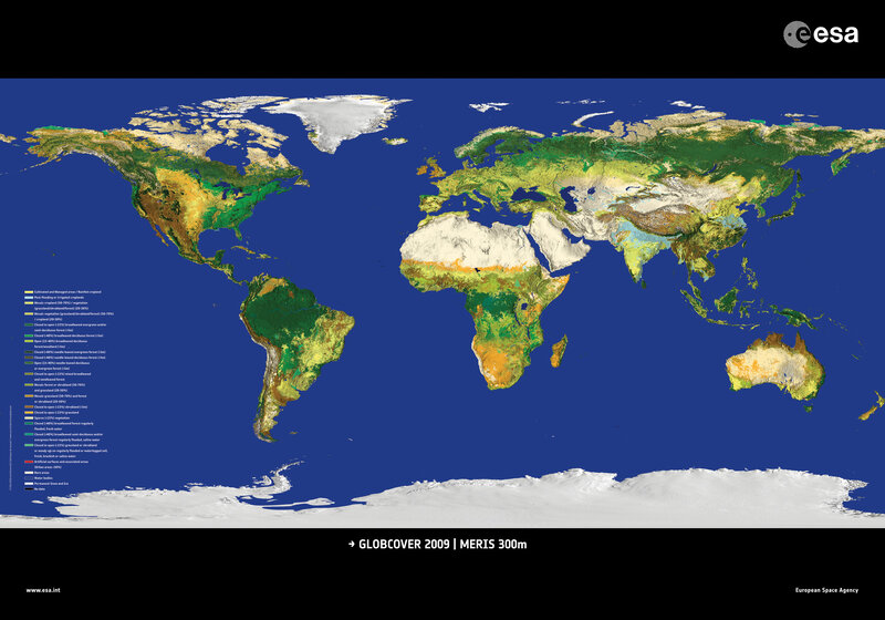 Global Land Cover Map