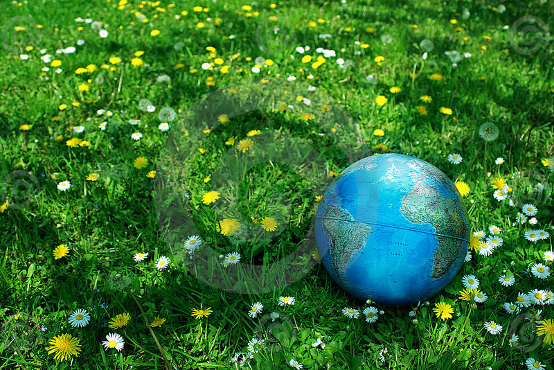 Globe in a Meadow