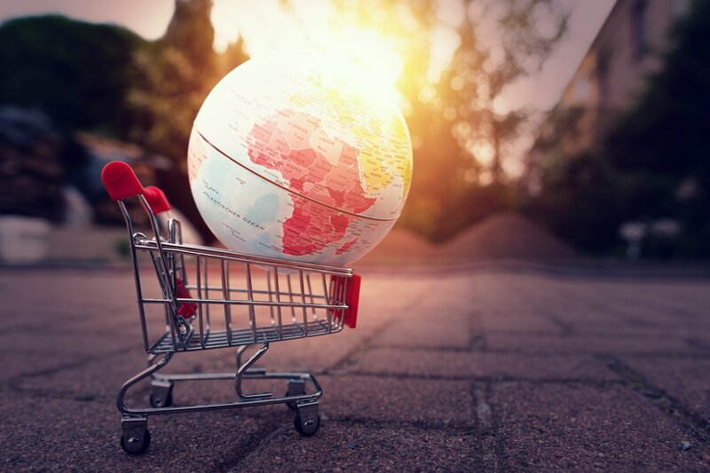Globe in Shopping Cart