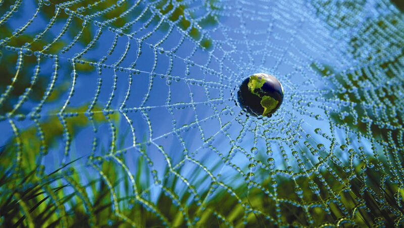 Globe on Spiderweb