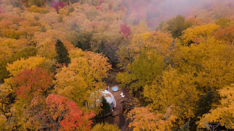 Globe-shaped Cabin in Forest