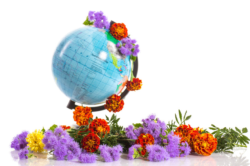 Globe with Flowers