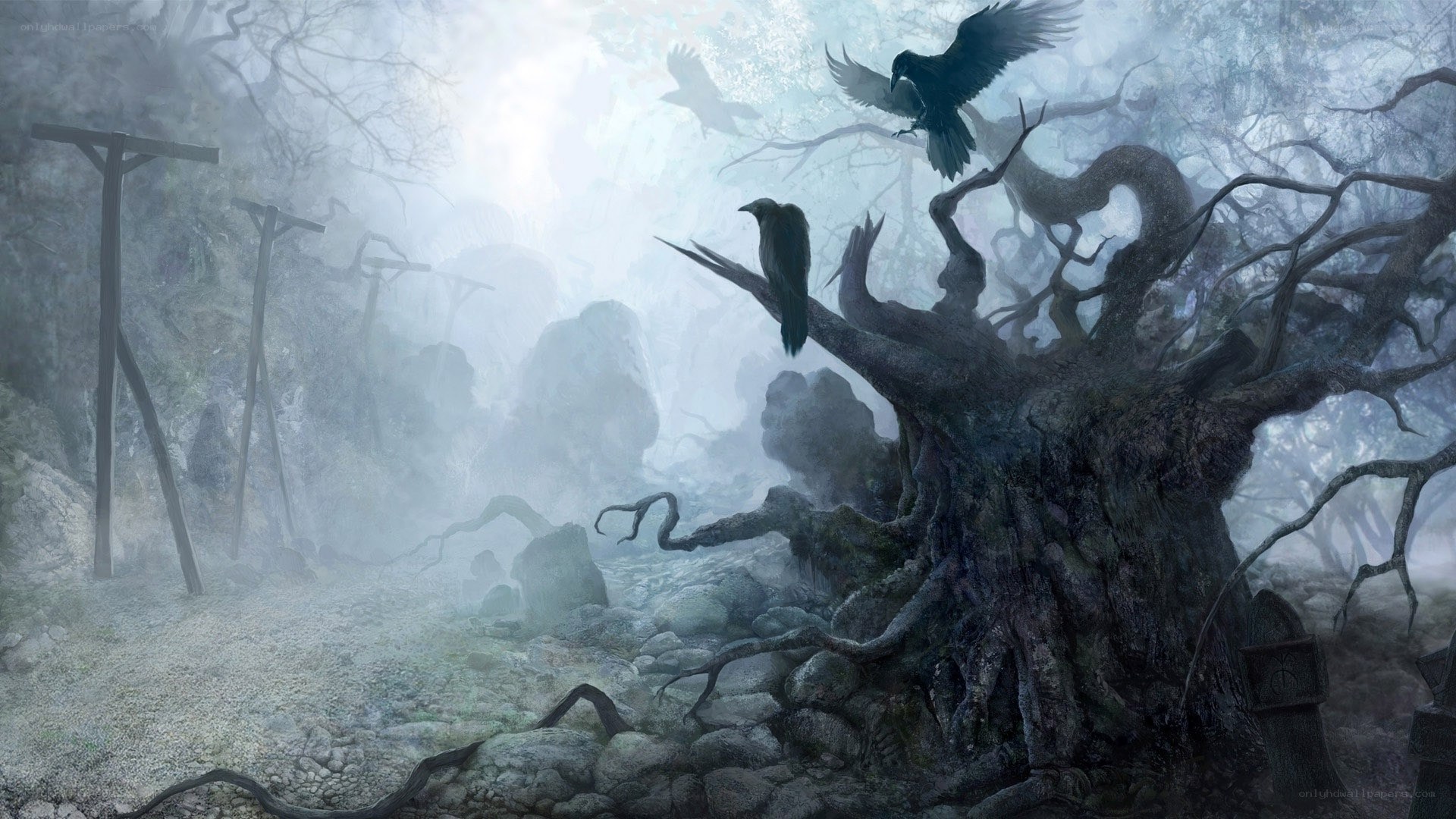 Gloomy forest with crows