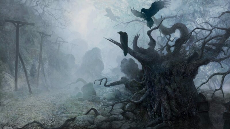 Gloomy forest with crows
