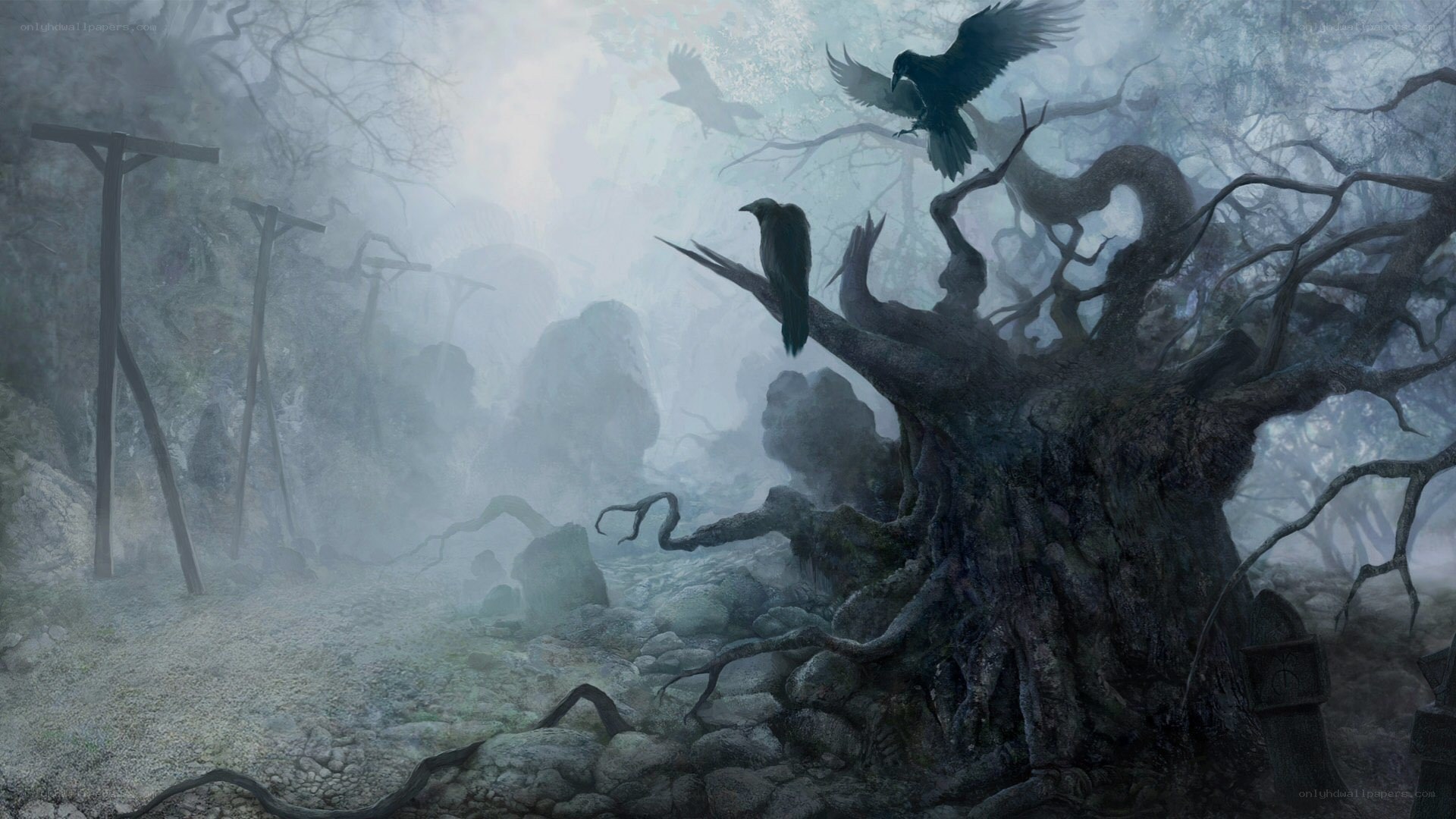 Gloomy forest with crows
