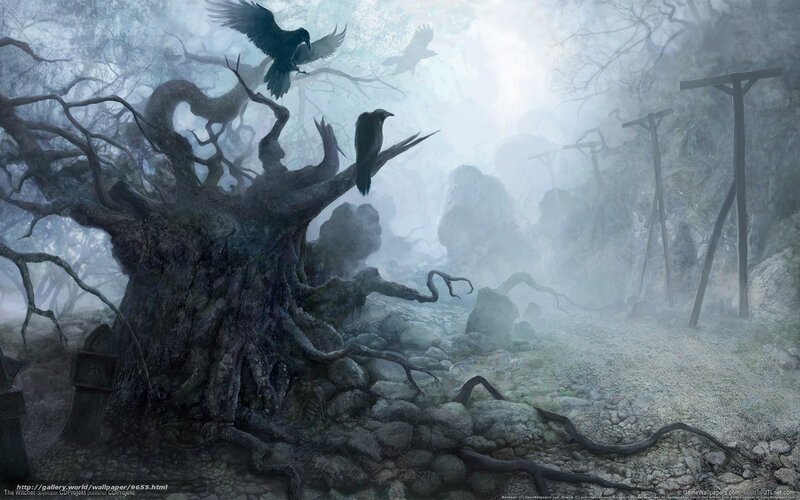 Gloomy forest with crows