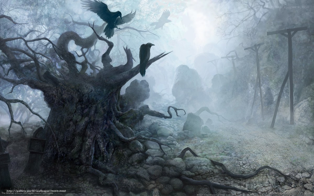 Gloomy forest with crows