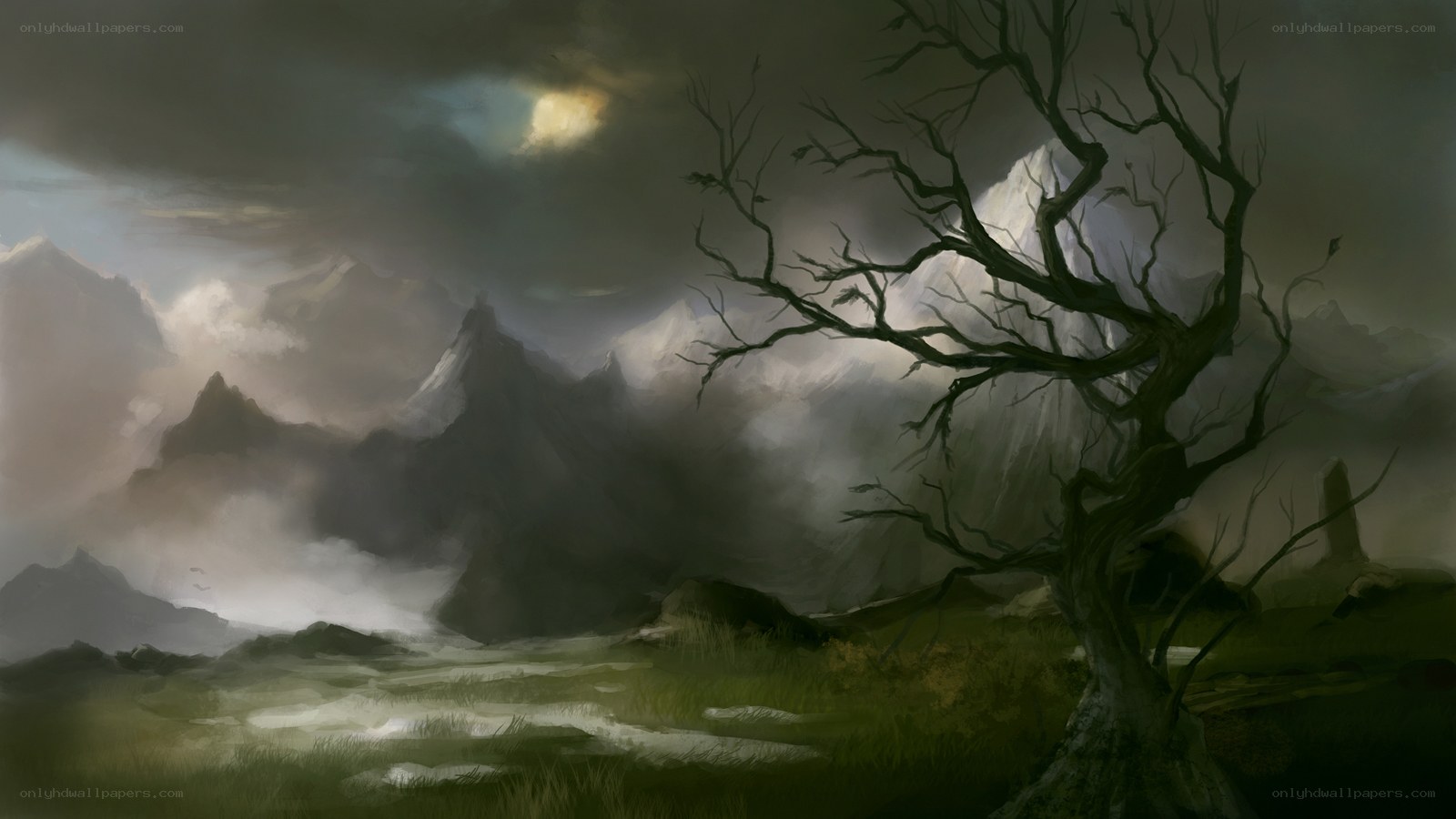Gloomy landscape with dead tree