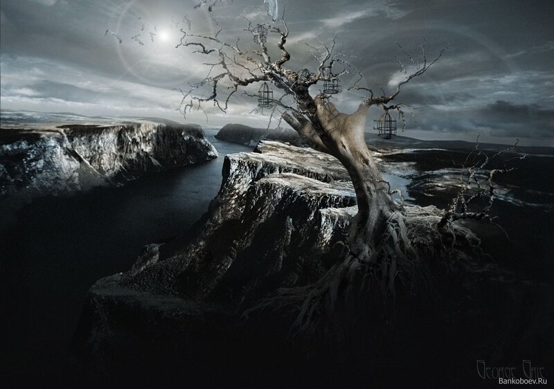 Gloomy tree on a cliff