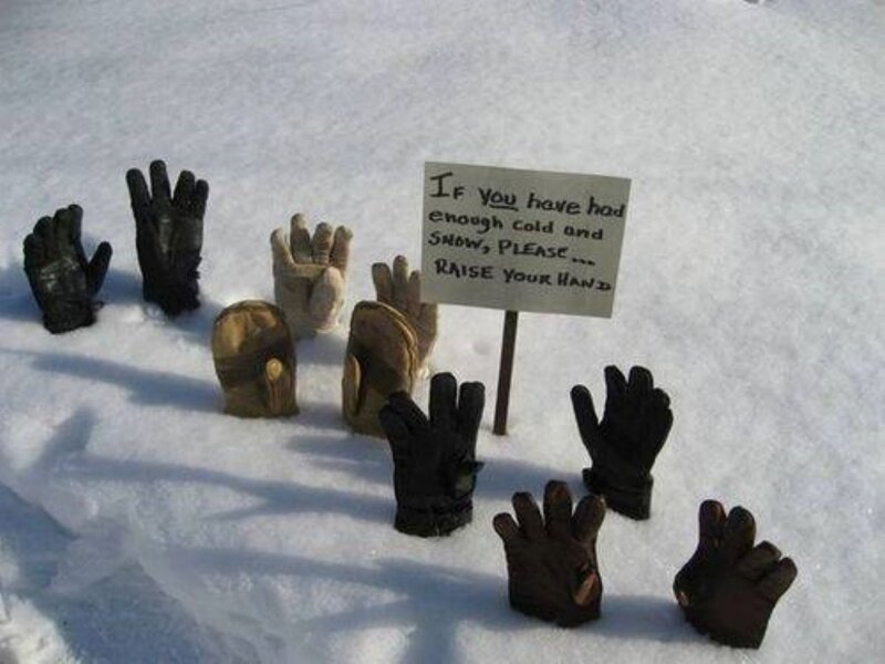 Gloves in Snow