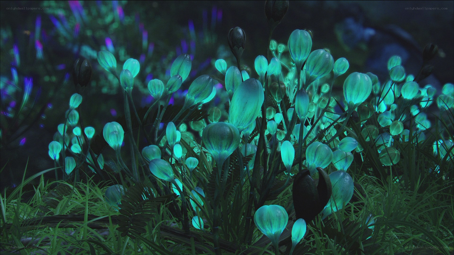 glowing alien flora