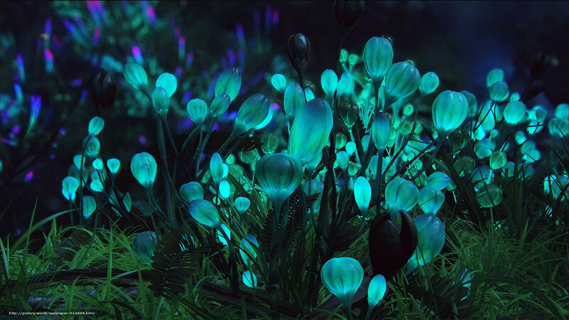glowing alien flora