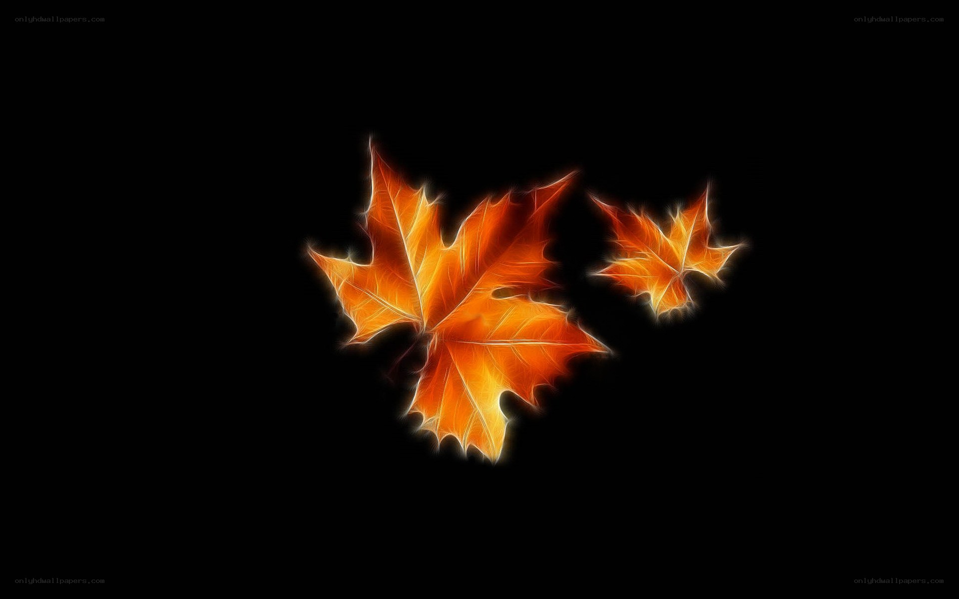 glowing autumn leaves