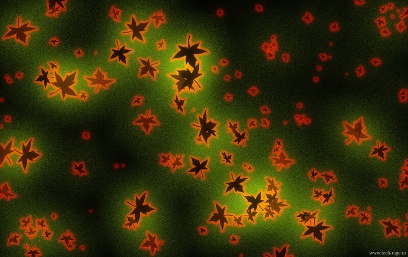 glowing autumn leaves