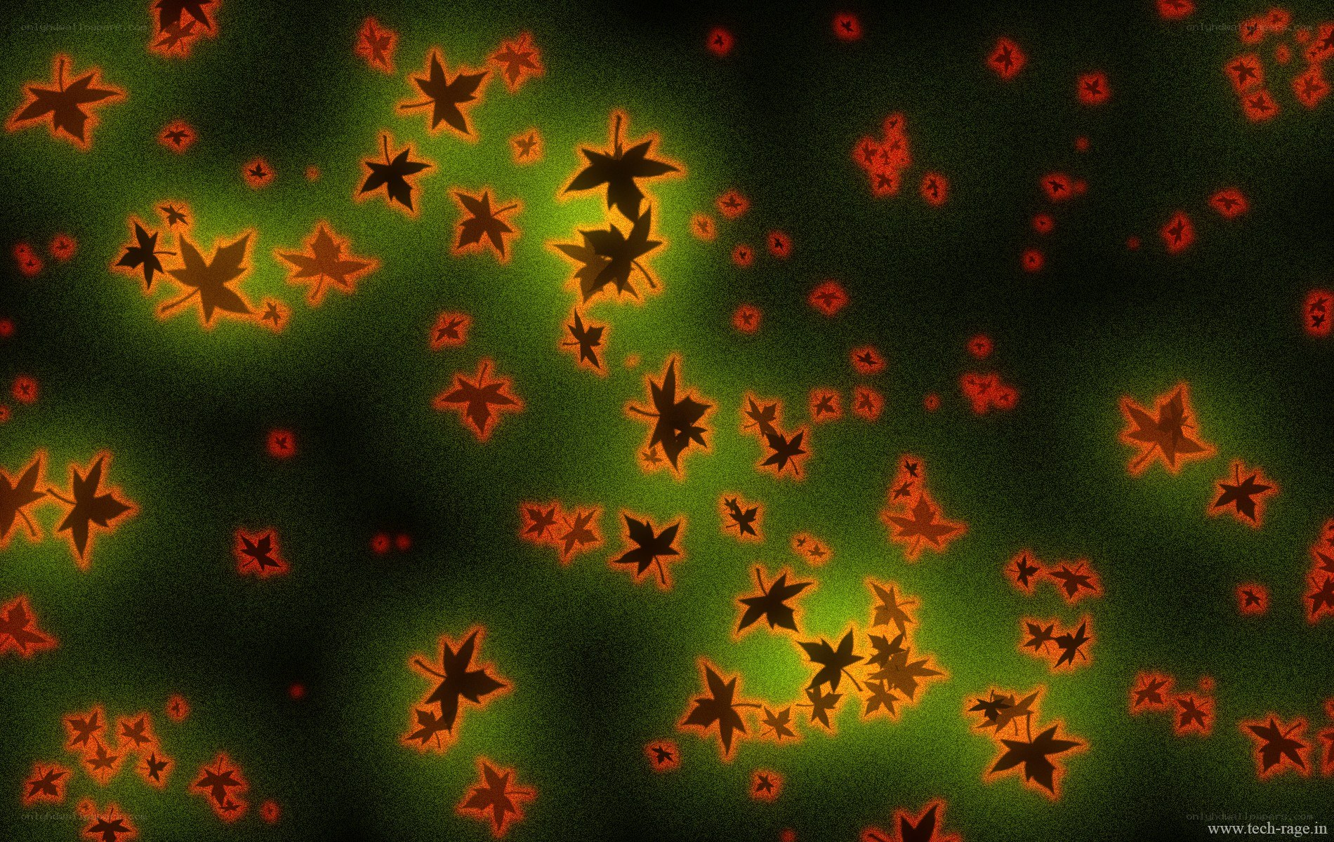 glowing autumn leaves