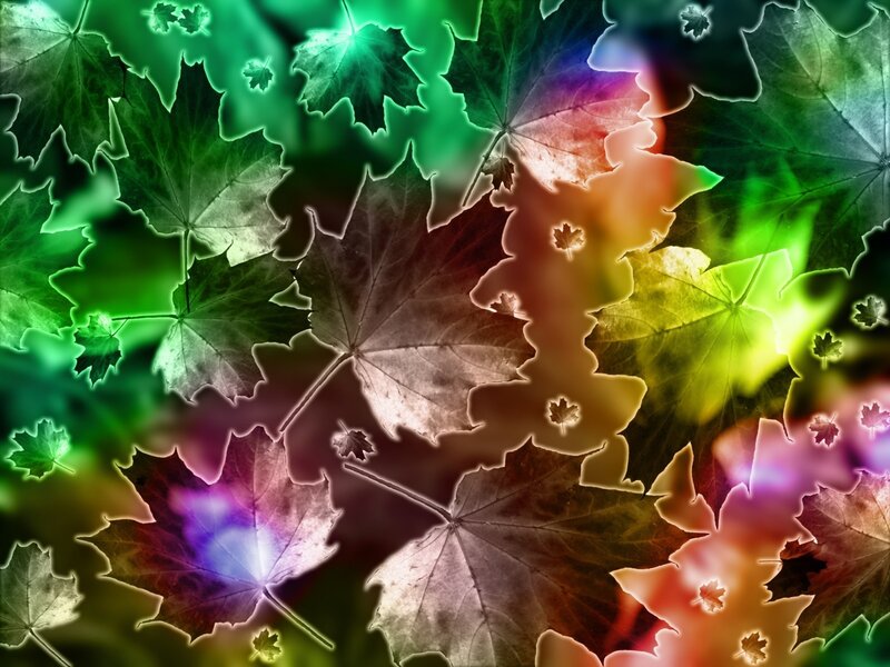 Glowing Autumn Leaves — Green