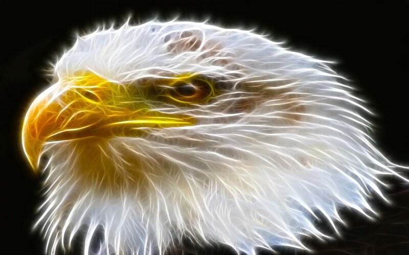 glowing bald eagle head