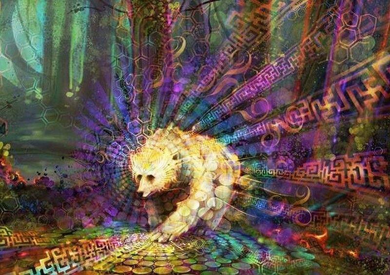 Glowing Bear in Forest