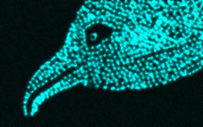 glowing bird head silhouette
