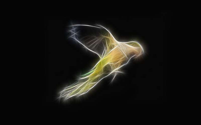 glowing bird in flight