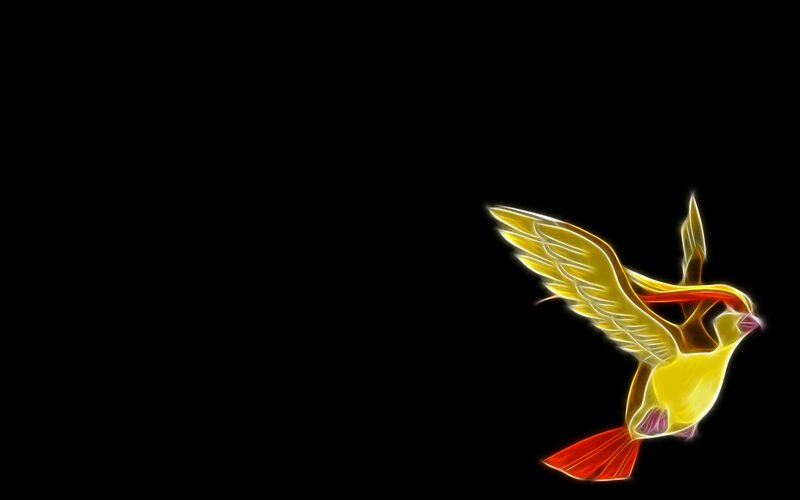 glowing bird in flight