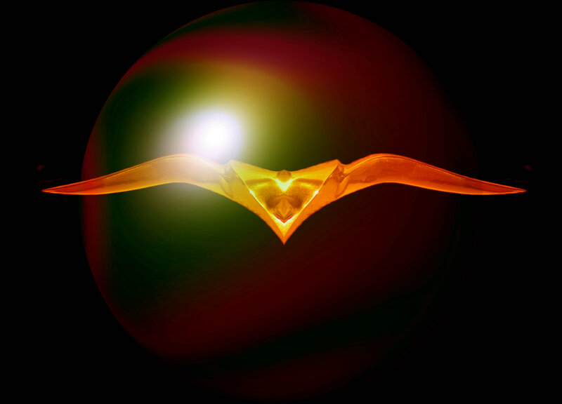 Glowing Bird-like Shape