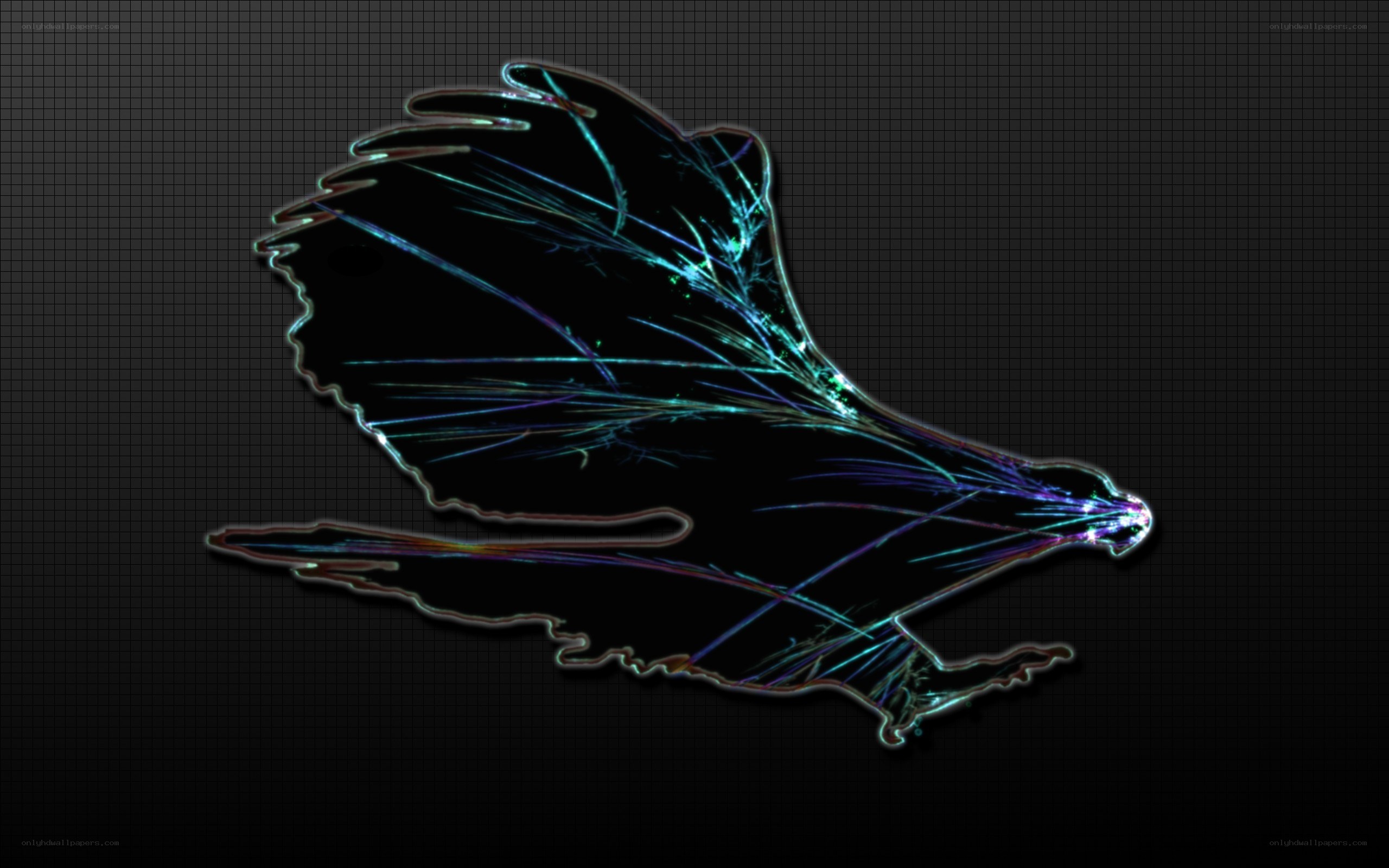 glowing bird silhouette