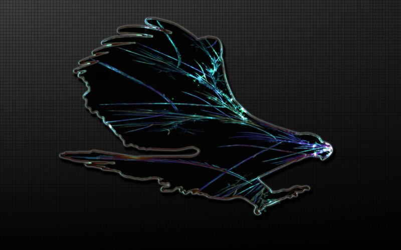Glowing Bird Silhouette — Black