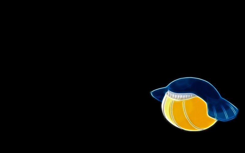 glowing blue and yellow shell