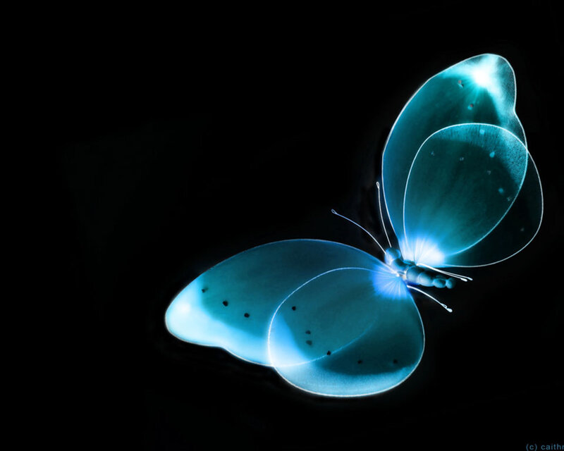 glowing blue butterfly