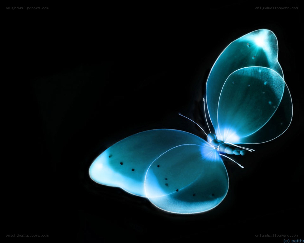 glowing blue butterfly