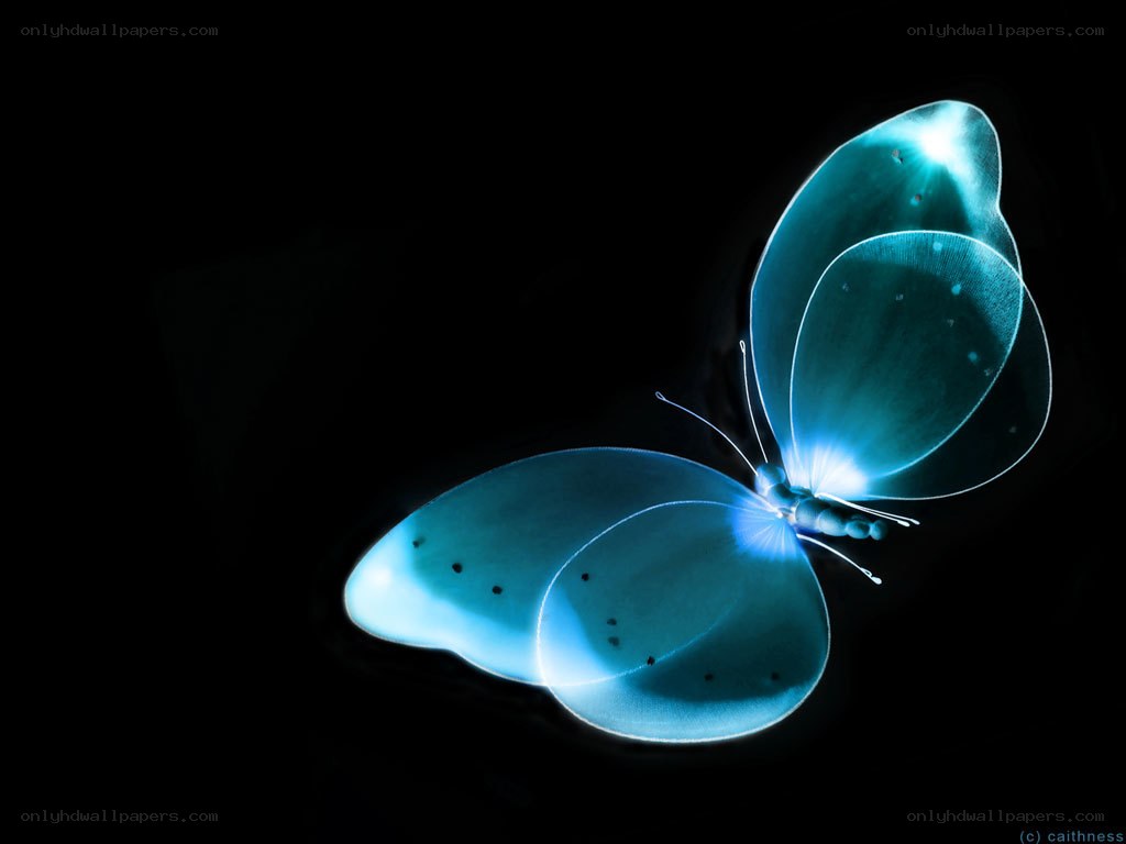 glowing blue butterfly