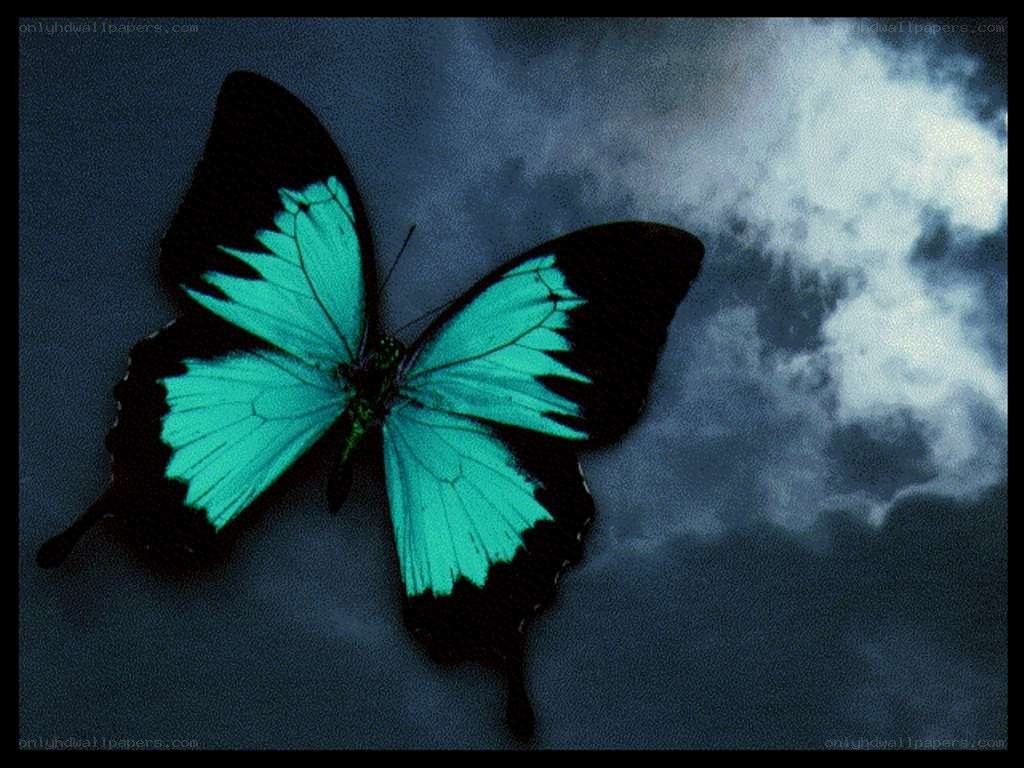 glowing blue butterfly