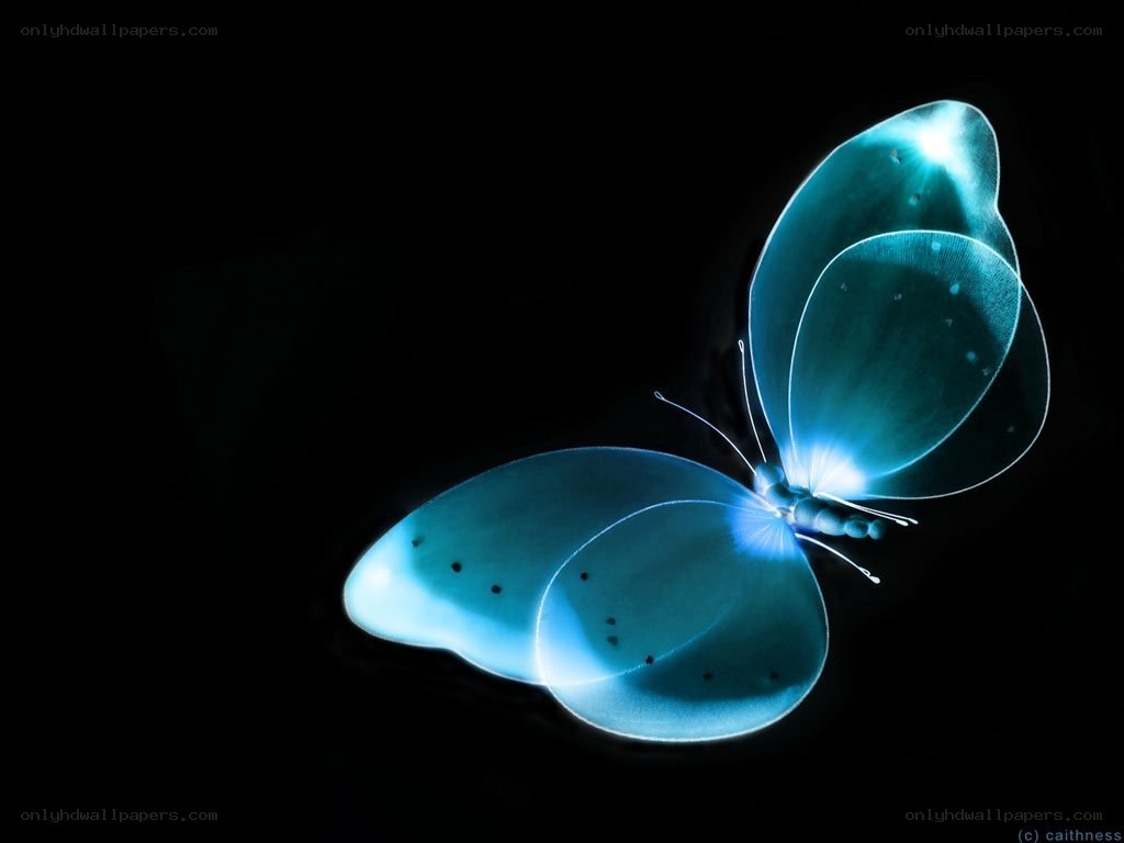 glowing blue butterfly