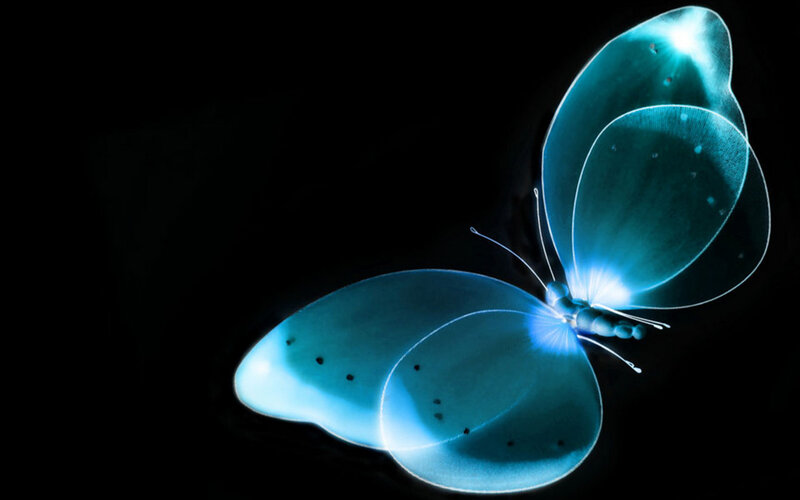 Glowing Blue Butterfly — Dramatic