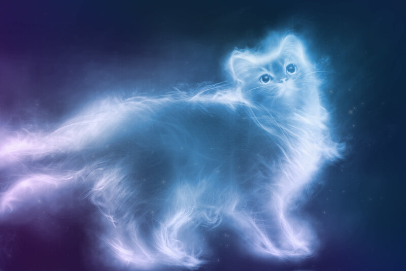 Glowing Blue Cat — Ethereal