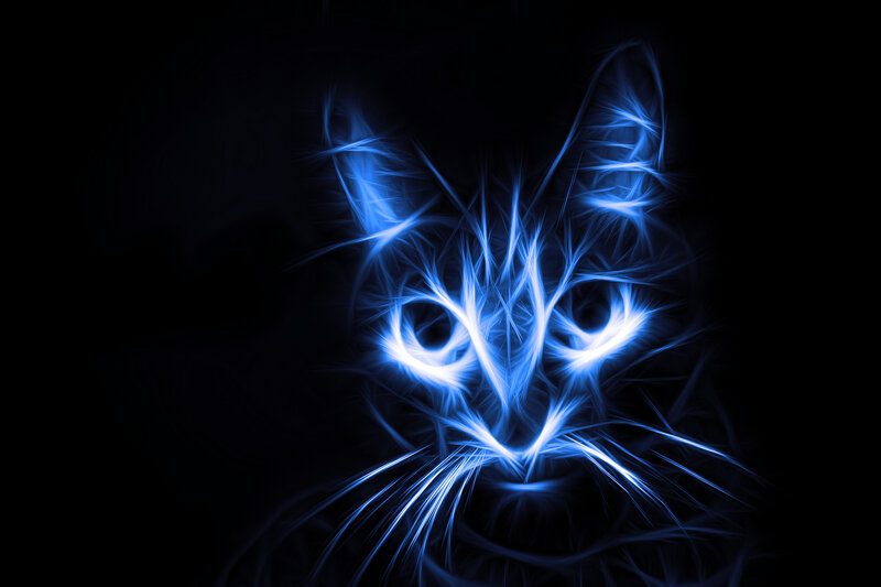 Glowing Blue Cat Face