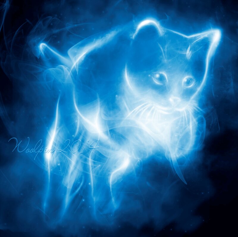 Glowing Blue Cat Spirit