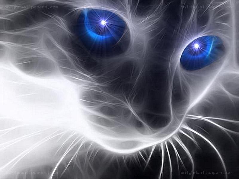 glowing blue eyes cat