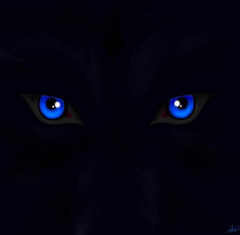 glowing blue eyes in darkness