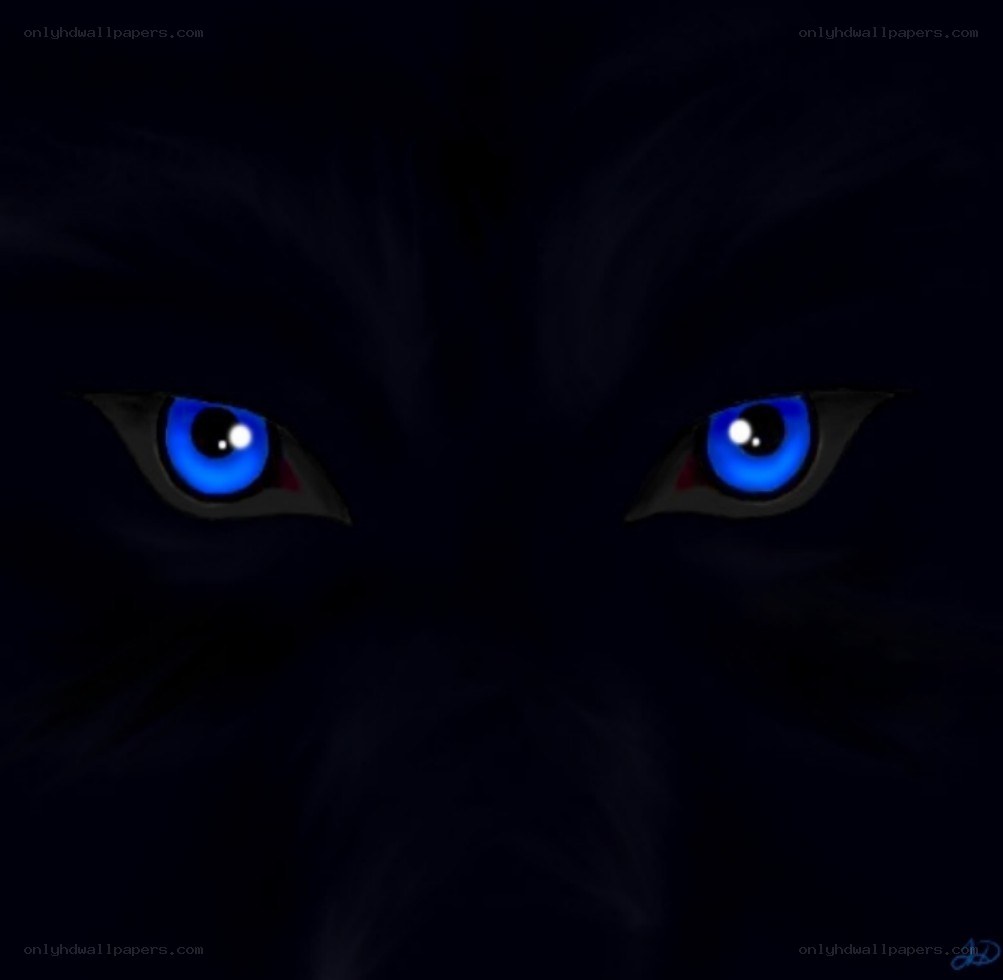 glowing blue eyes in darkness