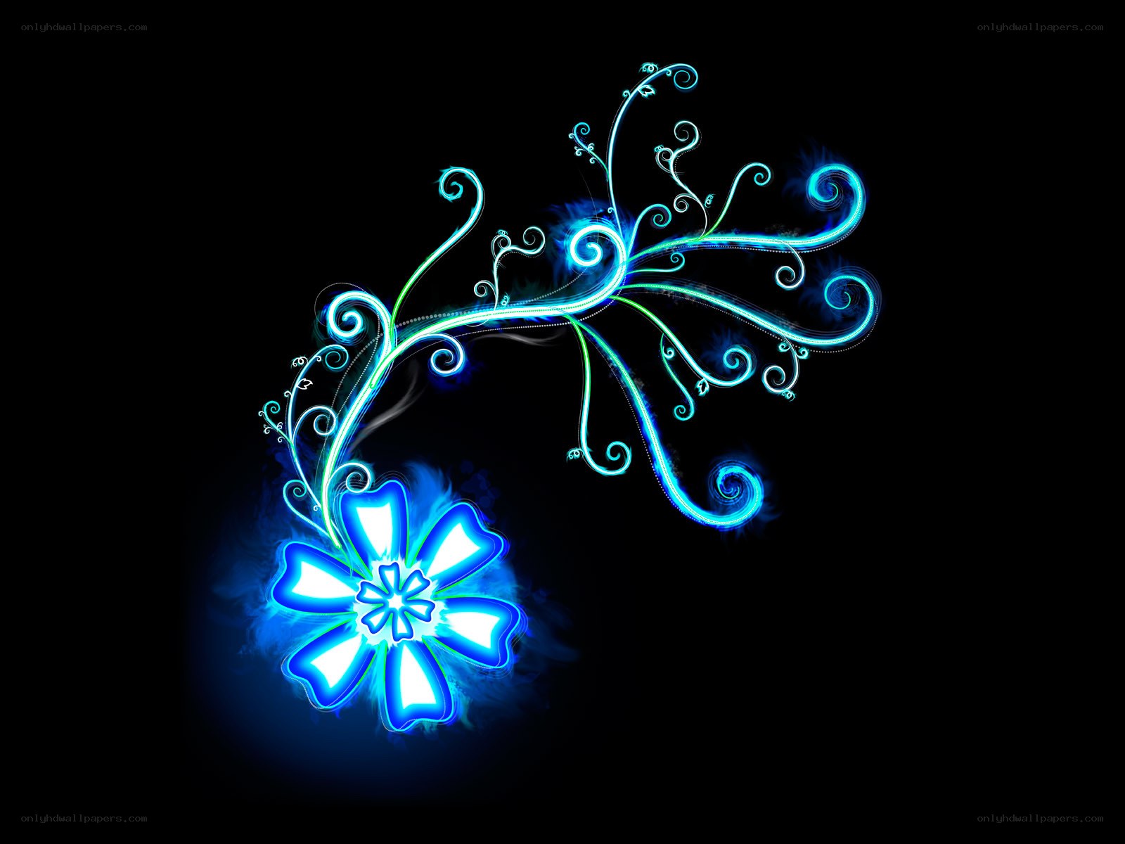 glowing blue floral design